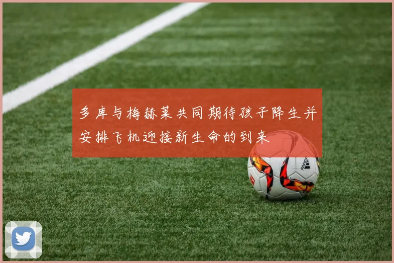 多库与梅赫莱共同期待孩子降生并安排飞机迎接新生命的到来